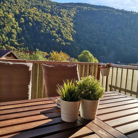 Miro Apartament Sinaia Eksteriør billede