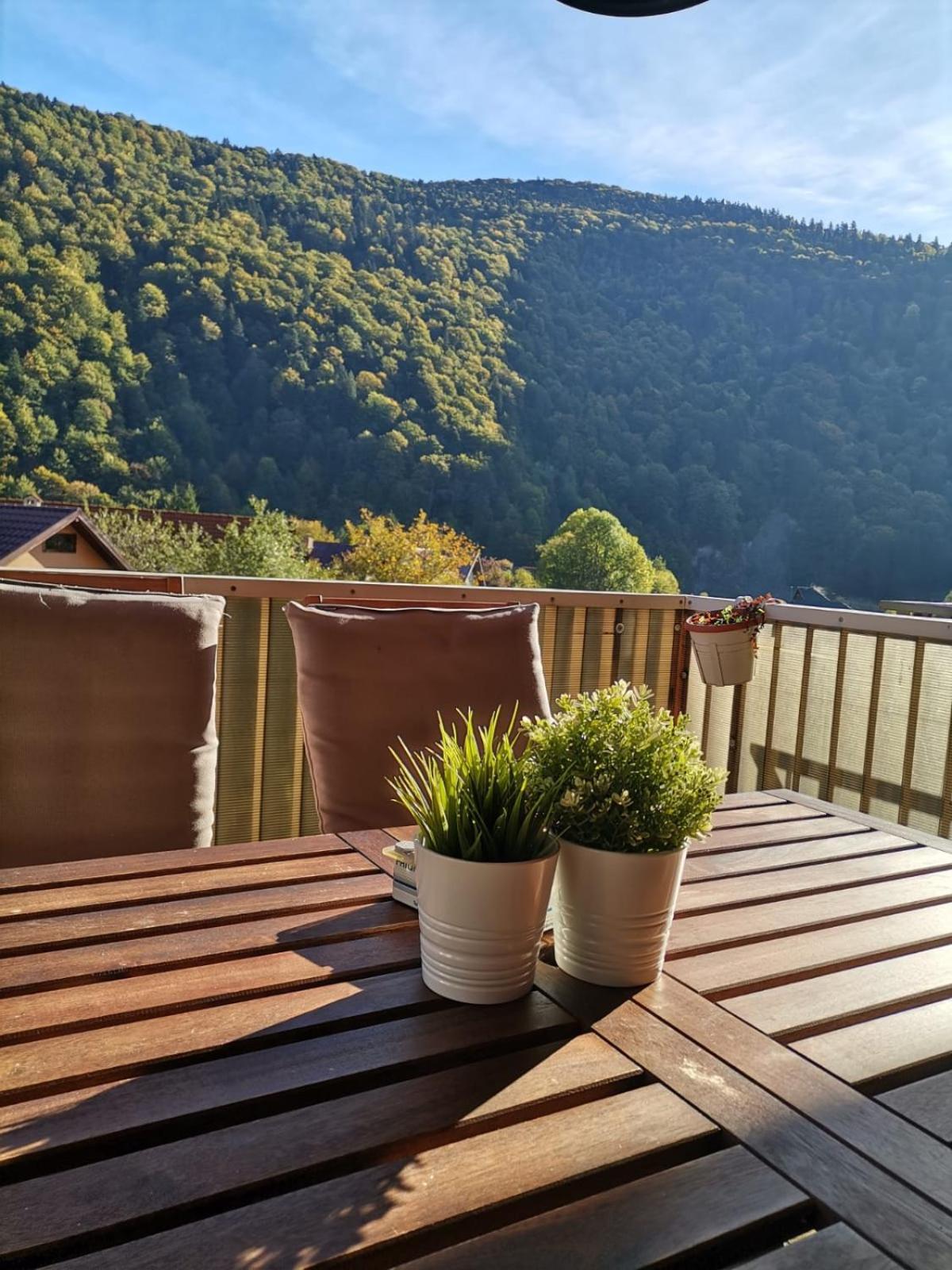 Miro Apartament Sinaia Eksteriør billede